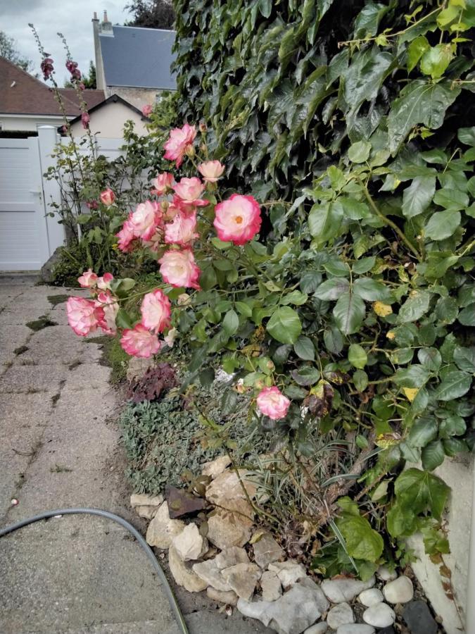 Hortensias Asnelles Dış mekan fotoğraf
